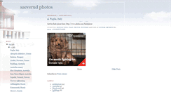 Desktop Screenshot of photo.saeverud.com